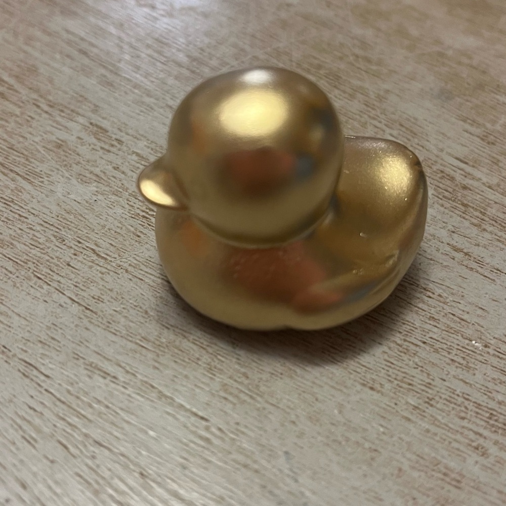 Rare gold duck